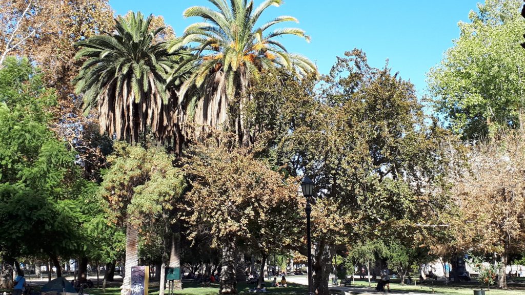 parque forestal in santiago is a great place to spend time with kids in santiago