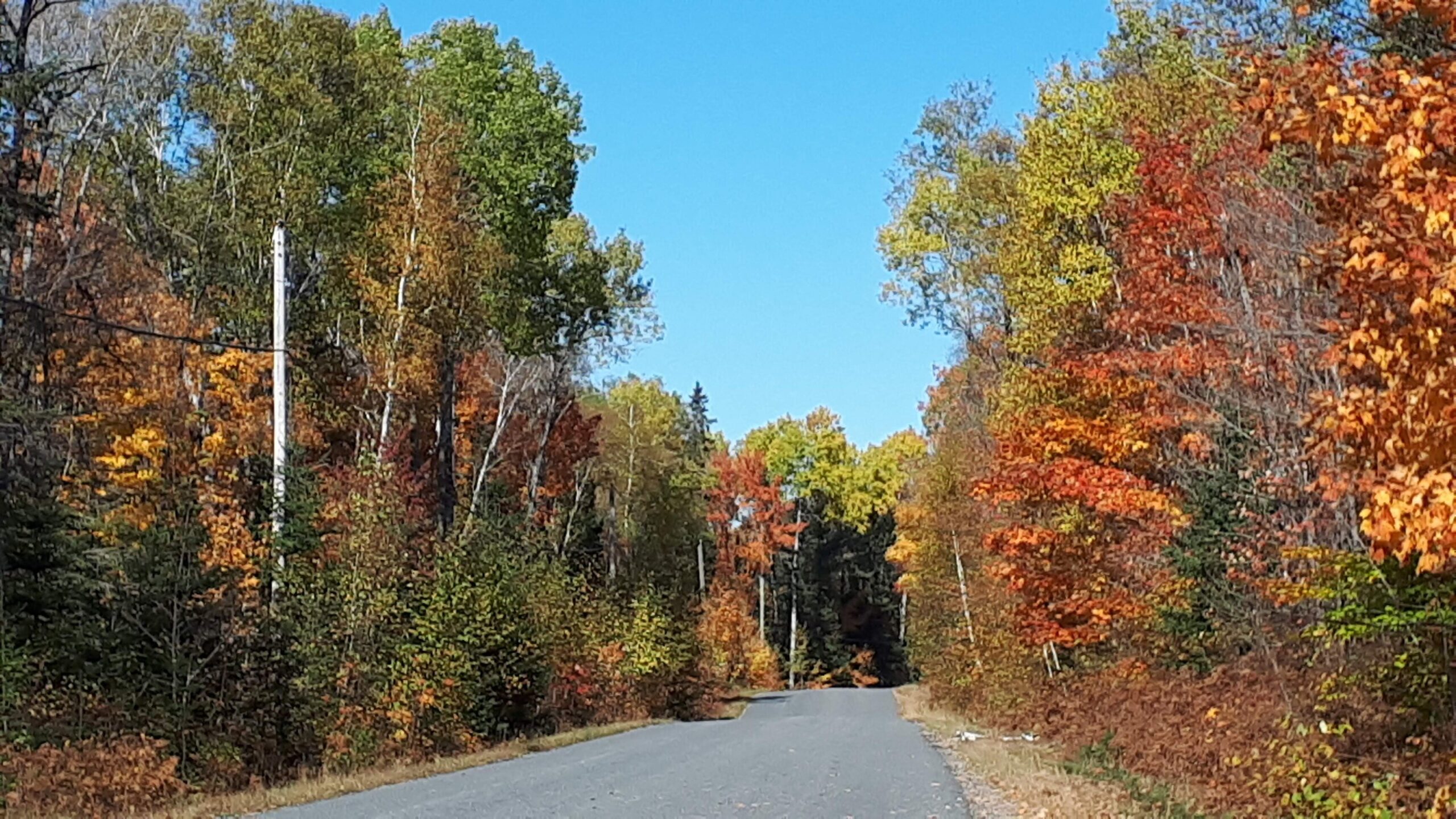 Things to Do in Ontario with Kids in the Fall • Wanderlust with Kids
