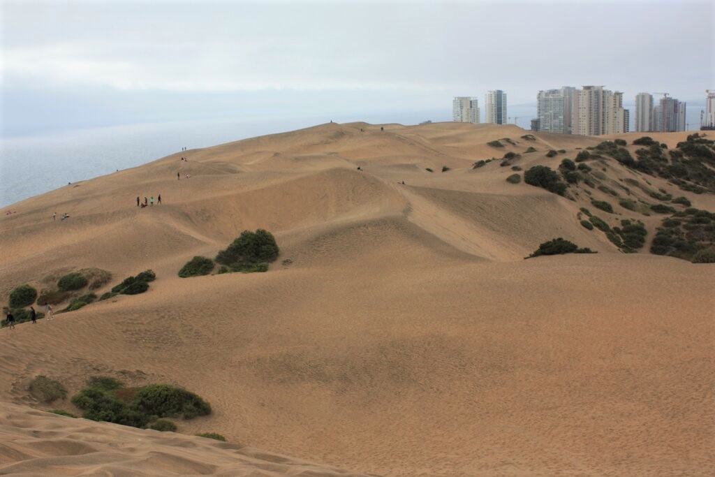 giant sand dunes with people walking on them and apartment buildings seen in the background