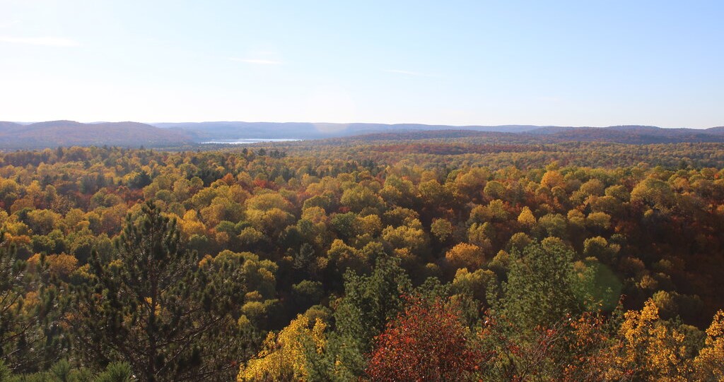Expansive view of a forest canopy in peak autumn, with treetops glowing in shades of yellow, orange, and deep red under a clear blue sky. Rolling hills stretch into the distance, and a glimpse of a lake is visible near the horizon.
