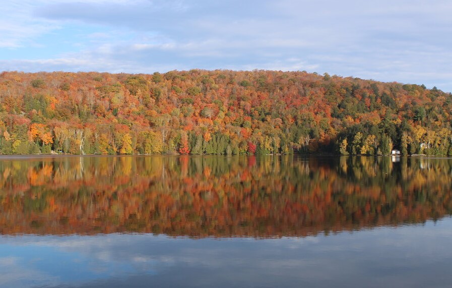 Best Places to See Fall Colours in Muskoka (and Almaguin)