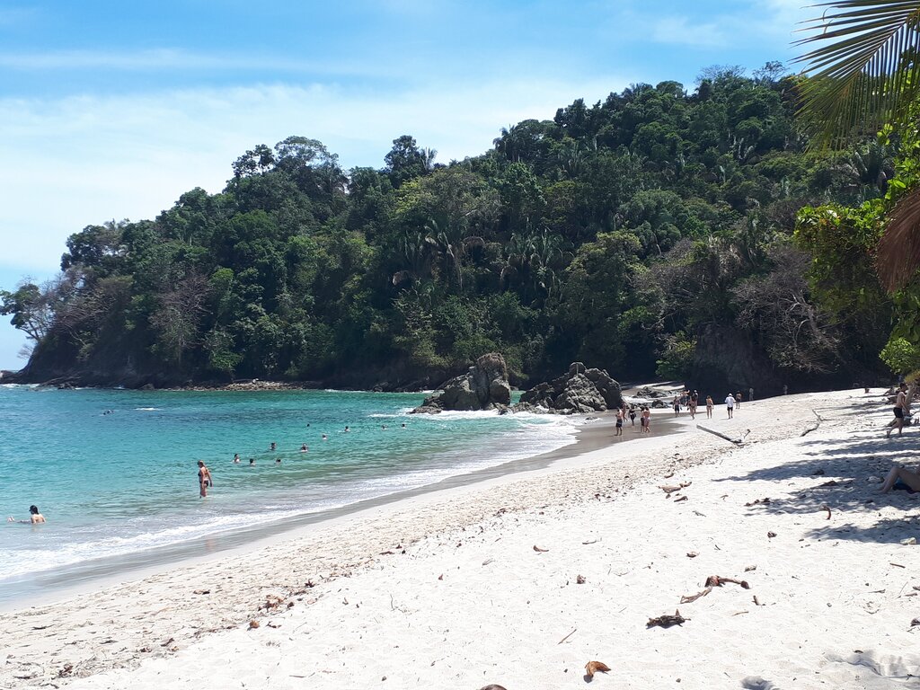 Manuel Antonio National Park has some of the best beaches in Costa Rica