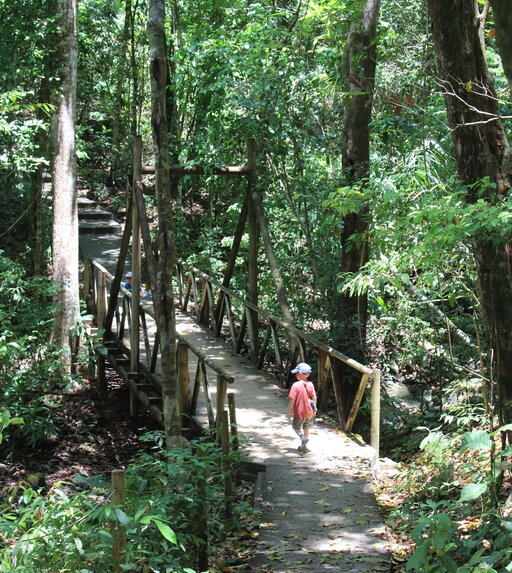 child walking on the trail at Manuel Antonio National Park.