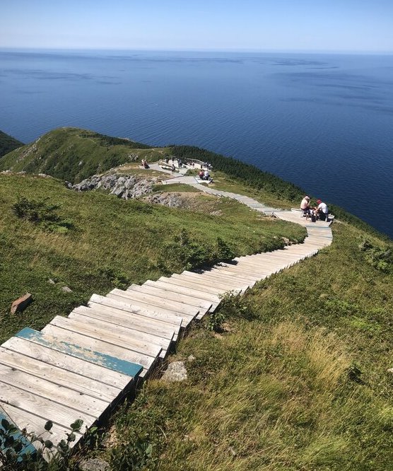 wood boardwalk steps going down the side of the mountain - this is the highlight of hiking the Skyline trail in Cape Breton Highlands National Park