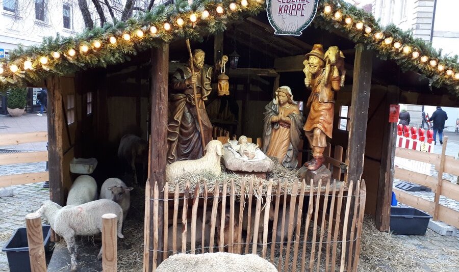 a wooden nativity scene with live sheep at a European christmas market