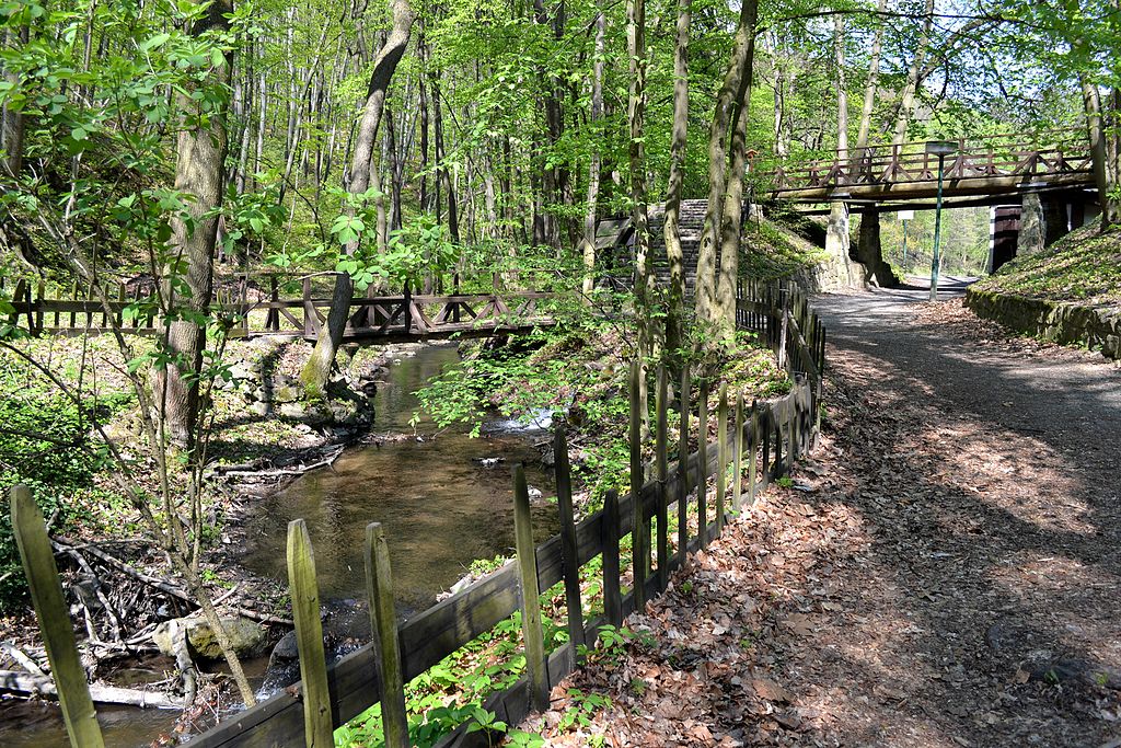 a wood fence lines a pathway beside a small river. a wood bridge can be seen crossing over the river as well as high over the path