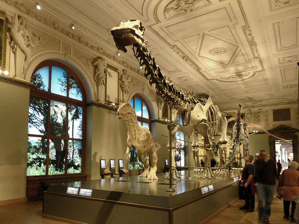 large dinosaur skeletons on display in the Natural History Museum in Vienna