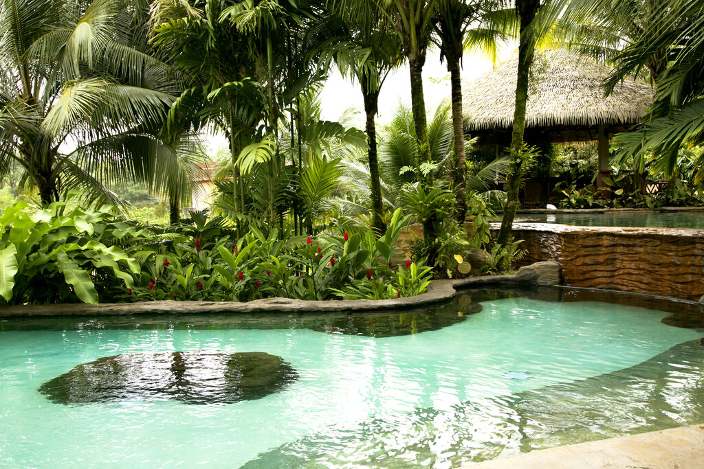 green palm trees surround a hot spring pool in the springs resort & spa in la fortuna Costa Rica