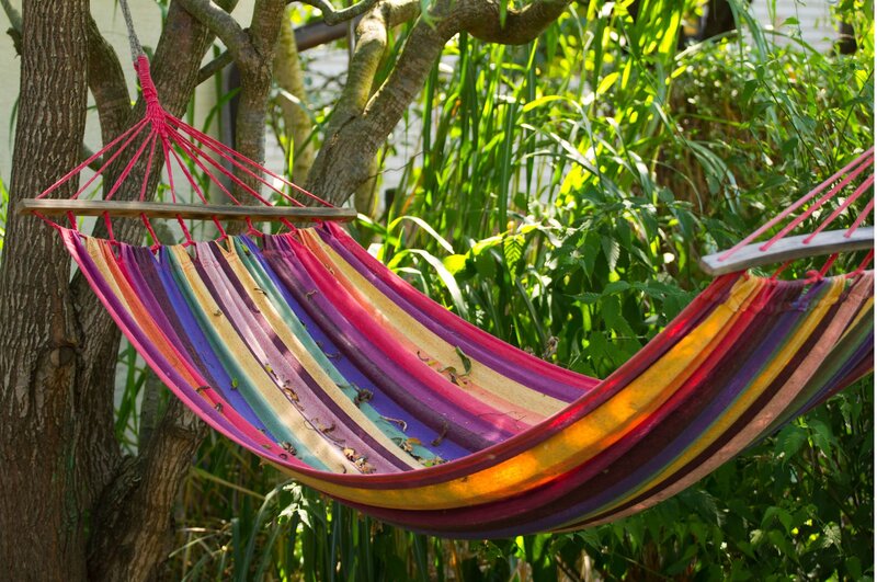 a colourful woven hammock hangs in the trees