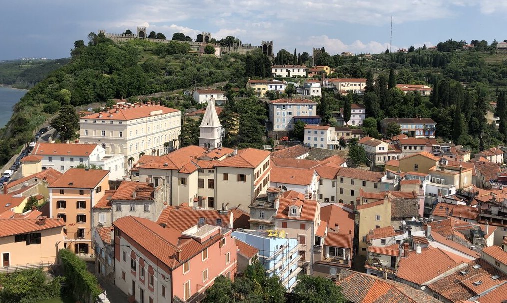 view of terracotta rooftops and stone city walls in the distance - this is the view from the bell tower and one of the best things to do in piran