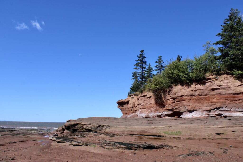 low tide at Burntcoat head park, red ocean floor and exposed rock with trees on top can be seen when the tide is low