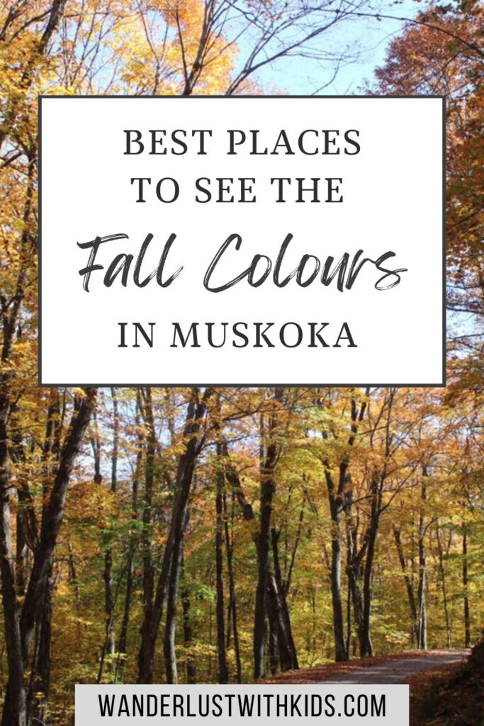 pin image for this post - best places to see the fall colours in muskoka