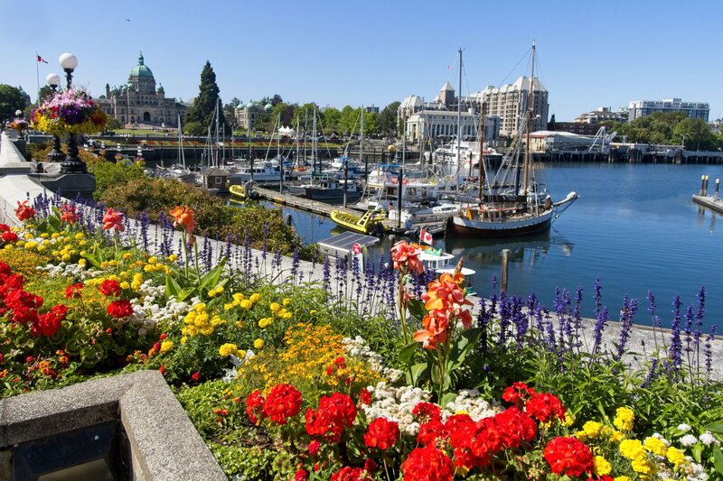 Colorful flower gardens line Victoria’s Inner Harbour in British Columbia, with sailboats, historic buildings, and the Parliament Buildings in the background.