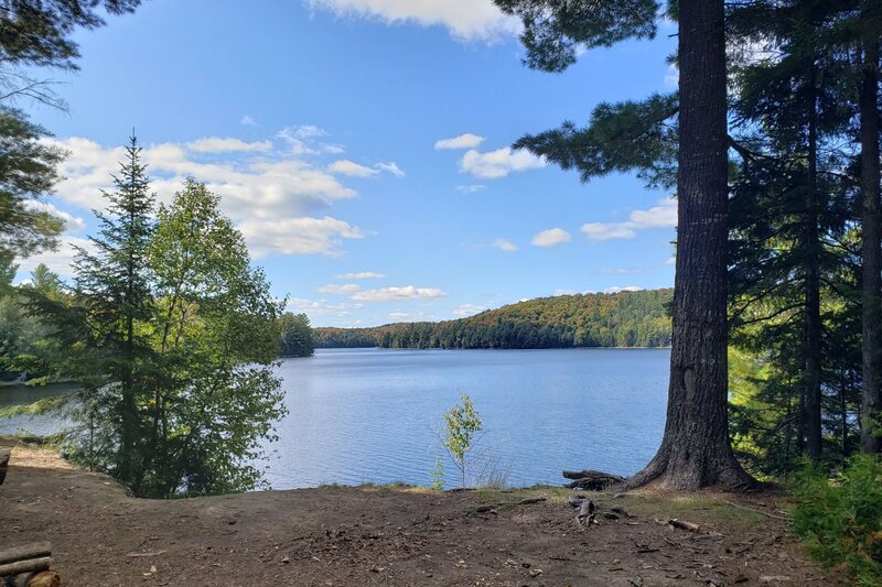 a sandy beach at a campsite, bordered by two trees, looks out on to a quiet calm blue lake in algonquin park.