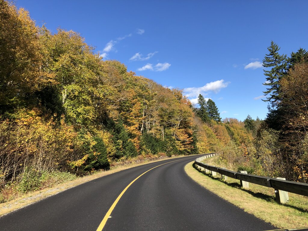 A winding section of the Fundy Trail Parkway in New Brunswick, bordered by vibrant early autumn foliage in shades of yellow, orange, and green. The freshly paved road curves through the forest under a bright blue sky with scattered clouds.