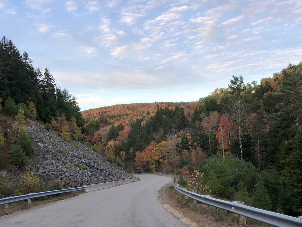A quiet stretch of the Fundy Trail Parkway in New Brunswick curves through a forested landscape with early autumn colors. The road is flanked by rocky slopes and dense trees in shades of green, orange, and red under a soft, cloud-dappled sky.